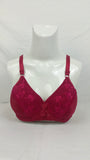 Single Padded Imported Bra Mehroon